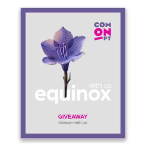 jacandara, purple, flower, lisbon, spring, equinox